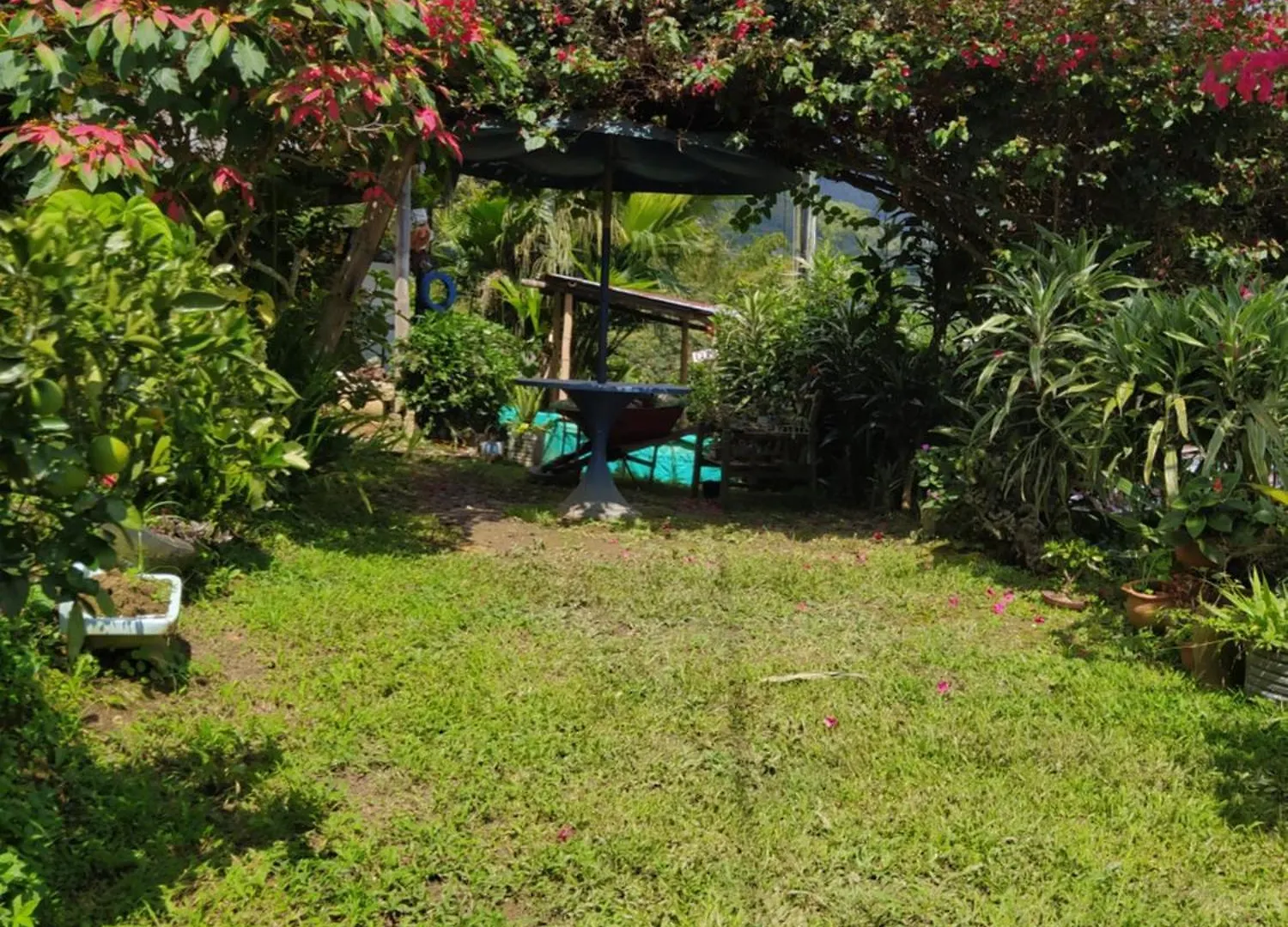 דירה מדיין Pequena Casa En Finca Cafetera קולומביה