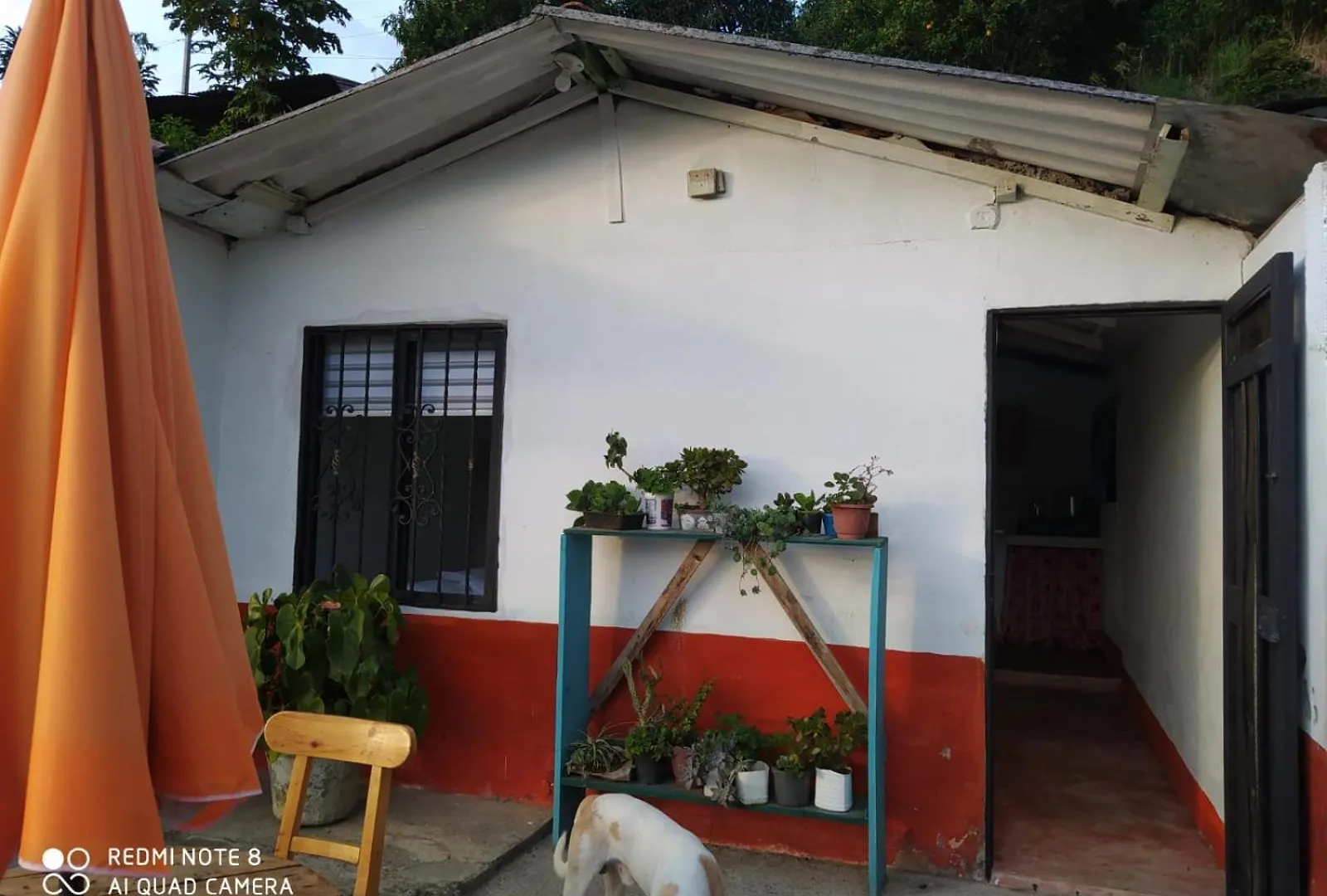 דירה מדיין Pequena Casa En Finca Cafetera קולומביה