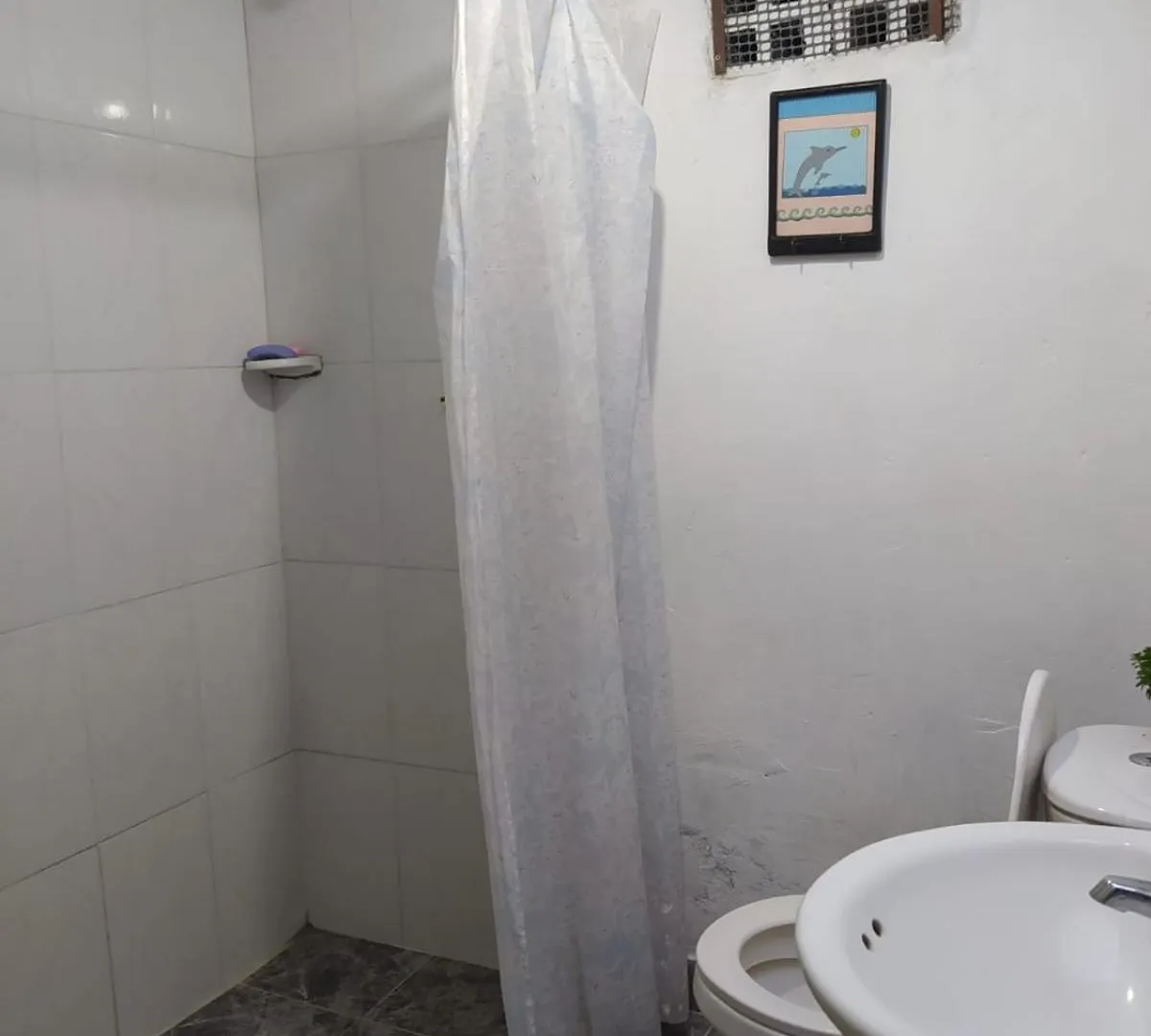 מדיין Pequena Casa En Finca Cafetera